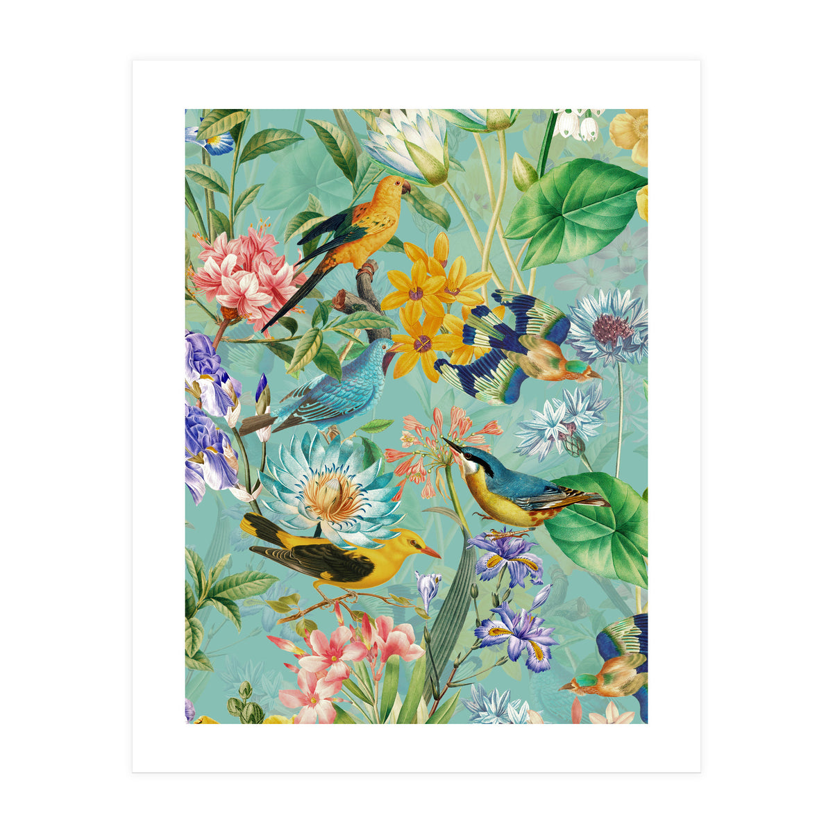 Birds In Tropical Jungle  (Print Only)