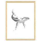 Whale thumbnail
