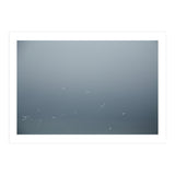Flying Segulls in thet winter sky (Print Only) thumbnail