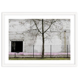 A tree in front of the wall thumbnail