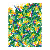 Summer Strelitzia (Print Only) thumbnail