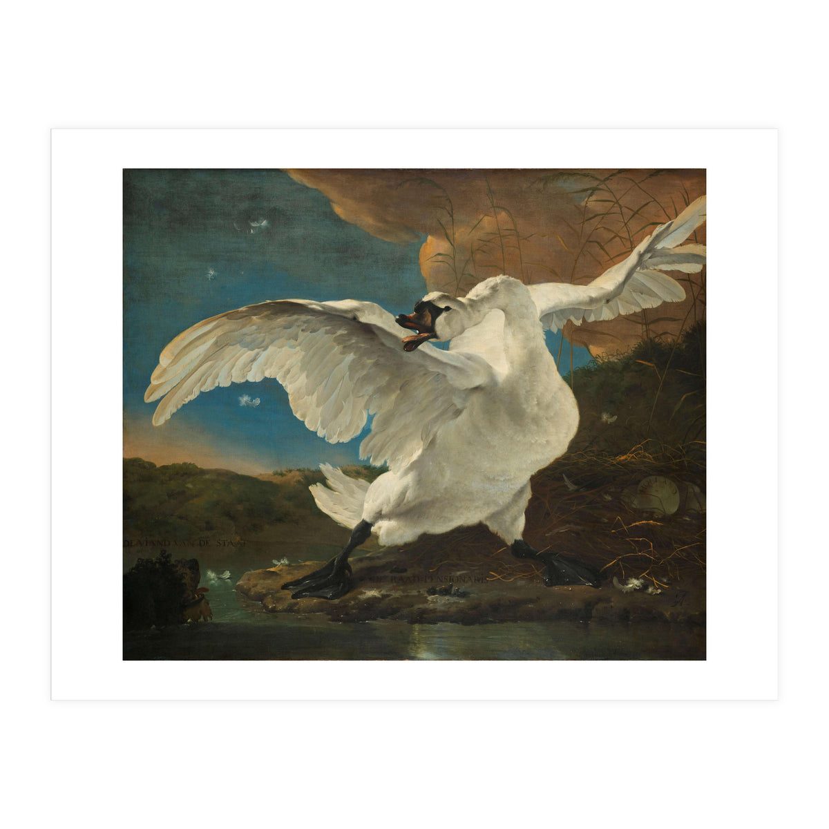 The Threatened Swan. The Threatened Swan; Interpreted later as an Allegory on Johan de Witt. Dati... (Print Only)