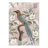 Exotic Bird (Print Only) thumbnail