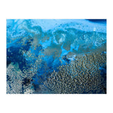 Revitalize (Print Only) thumbnail