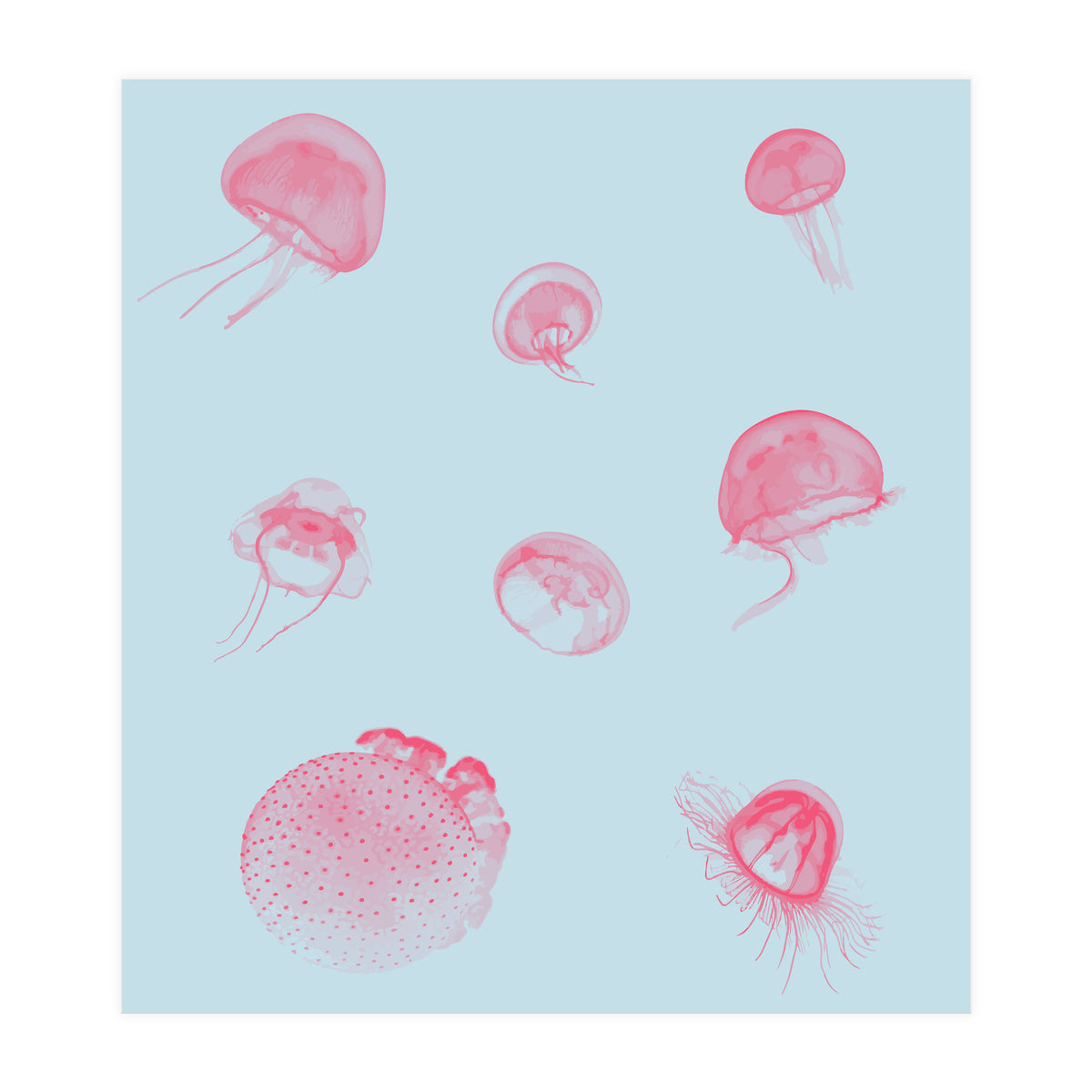 Jellyfish (Print Only)