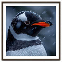 Close Up Penguin Portrait In Snowy Weather