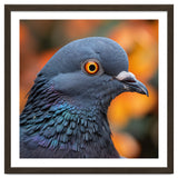 Close Up Of A Pigeon's Head And Neck thumbnail