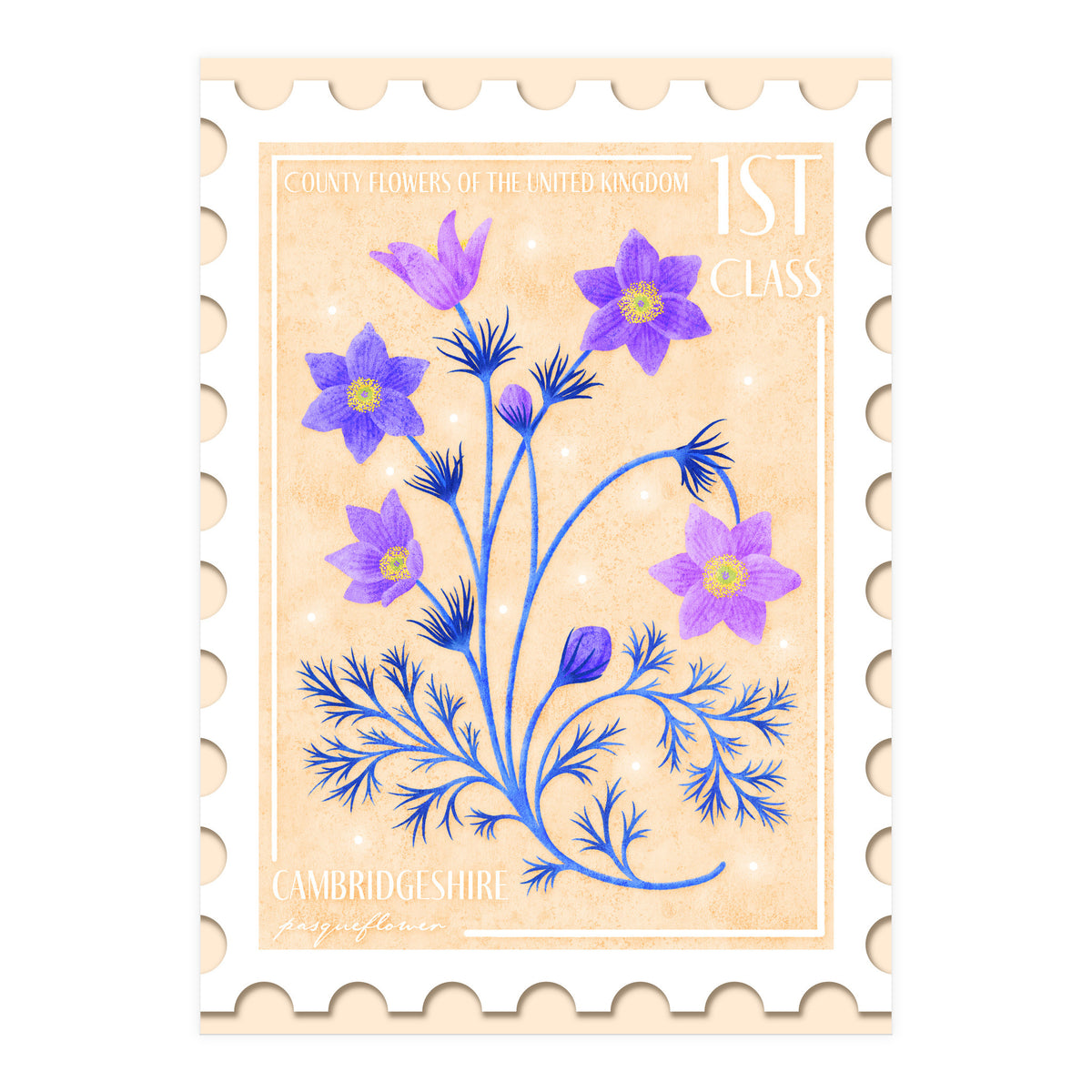 The Cambridgeshire Pasqueflower Postage Stamp (Print Only)