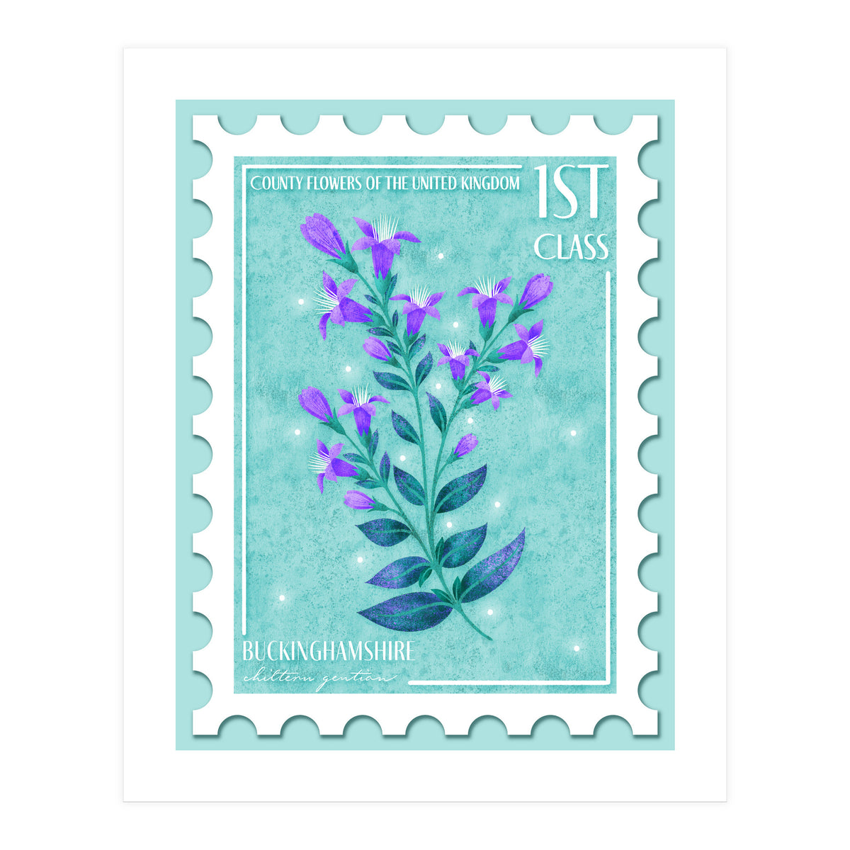 The Buckinghamshire Chiltern Gentian Postage Stamp (Print Only)