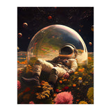 My Space Observatory (Print Only) thumbnail