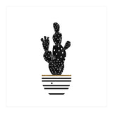 Black Cactus (Print Only) thumbnail