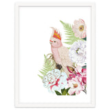 Cockatoo in Flower Jungle thumbnail
