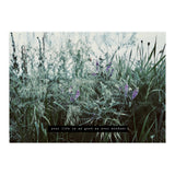 Photography - Summer Garden (Print Only) thumbnail