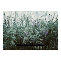 Photography - Summer Garden (Print Only)