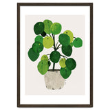 Pilea Plant thumbnail