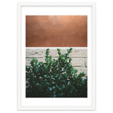 Plant + Copper thumbnail