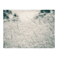 Walking Through Long Grass (Print Only)