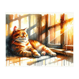 Cat Relaxing In Sunlight (Print Only) thumbnail