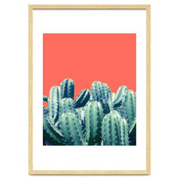 Cactus On Coral