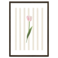 Single Tulip