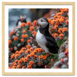 Atlantic Puffin Bird Perched On Orange Flowers thumbnail