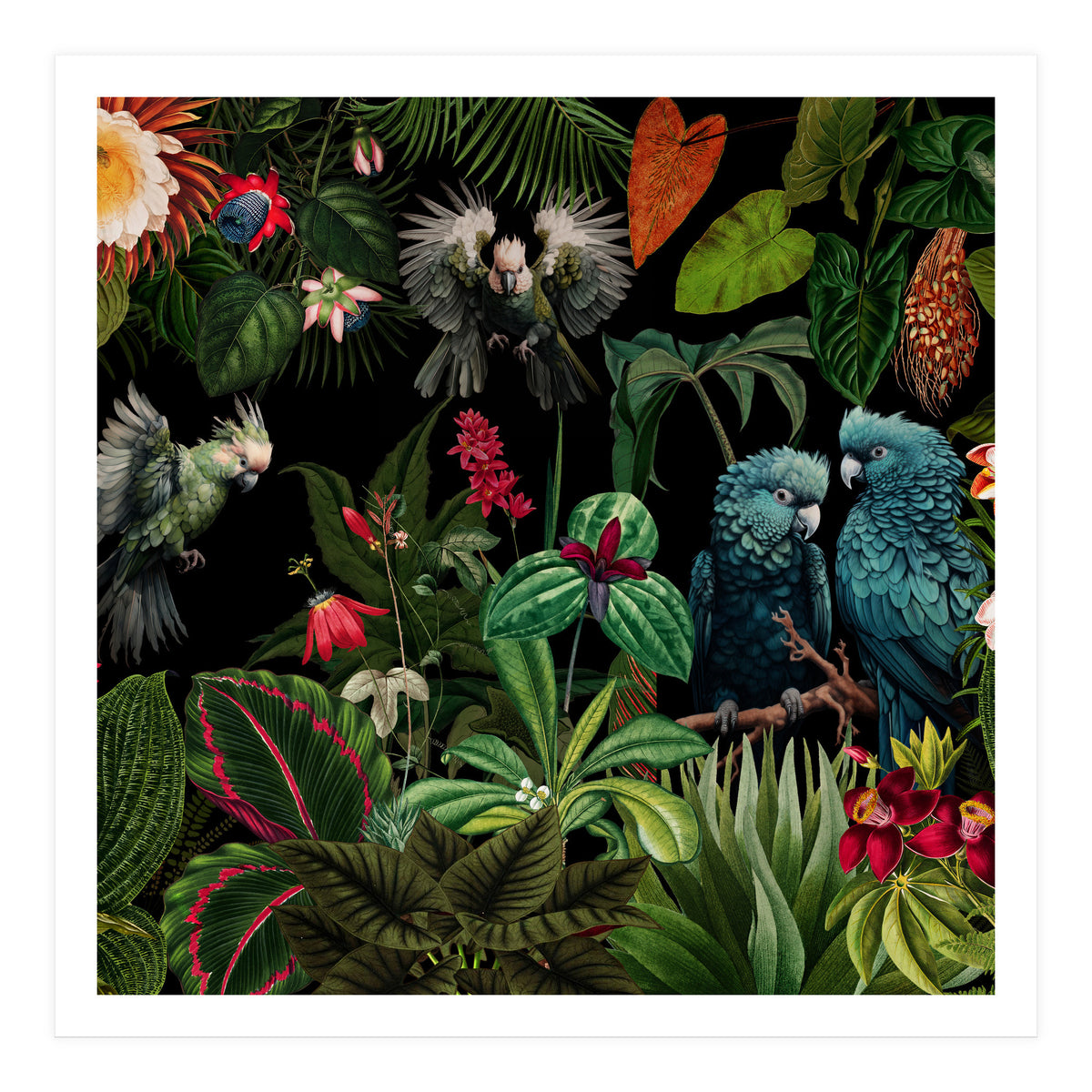 Moody Botanical Midnight Jungle Birds (Print Only)