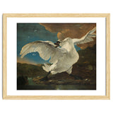 The Threatened Swan. The Threatened Swan; Interpreted later as an Allegory on Johan de Witt. Dati... thumbnail
