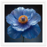 Meconopsis | Sapphire Serenade thumbnail