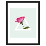Rose thumbnail