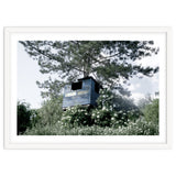 Blue hut on the tree thumbnail