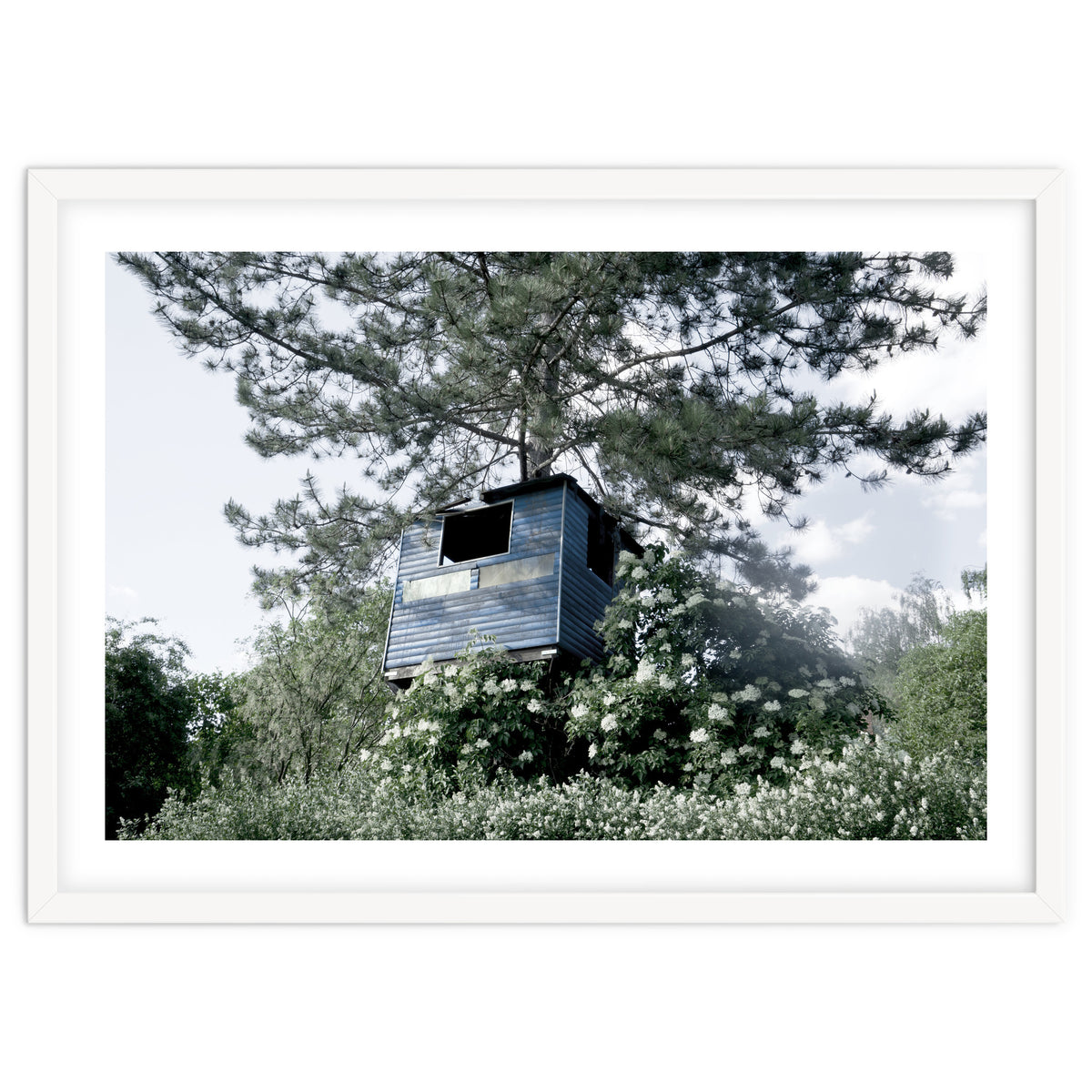 Blue hut on the tree