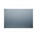 Flying Segulls in thet winter sky (Print Only) thumbnail