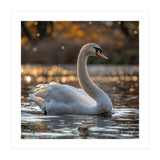 Graceful Swan Gliding On Reflective Water Surface (Print Only) thumbnail