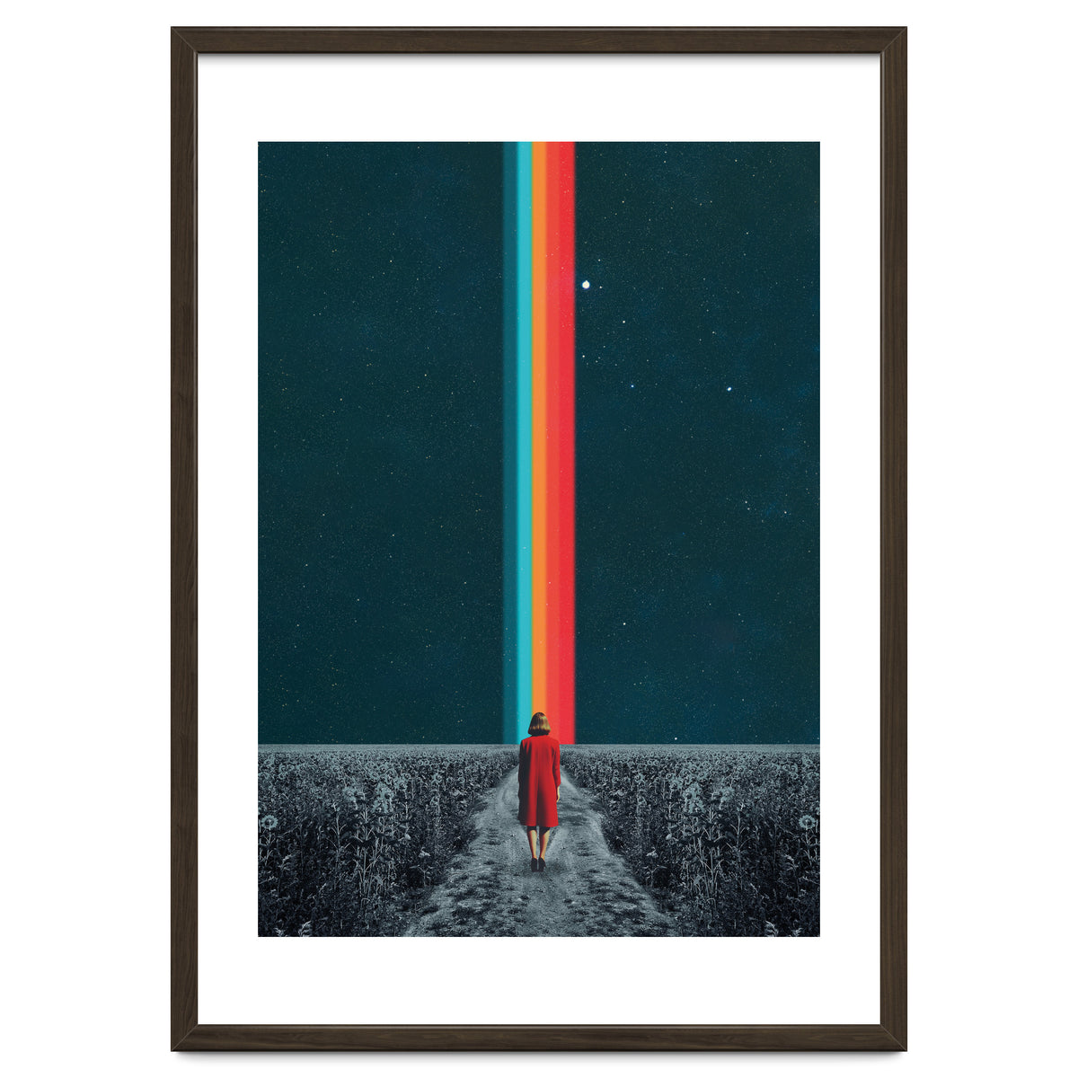 Follow Your Own Path