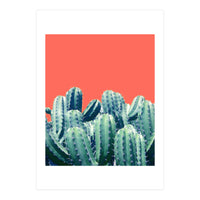 Cactus On Coral (Print Only)