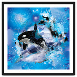 Orca thumbnail