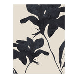 Shadowed Blooms (Print Only) thumbnail