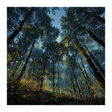 Celestial Forest Canopy with Swirling Golden Fireflies and Deep Twilight Blue Sky Digital Art (Print Only) thumbnail