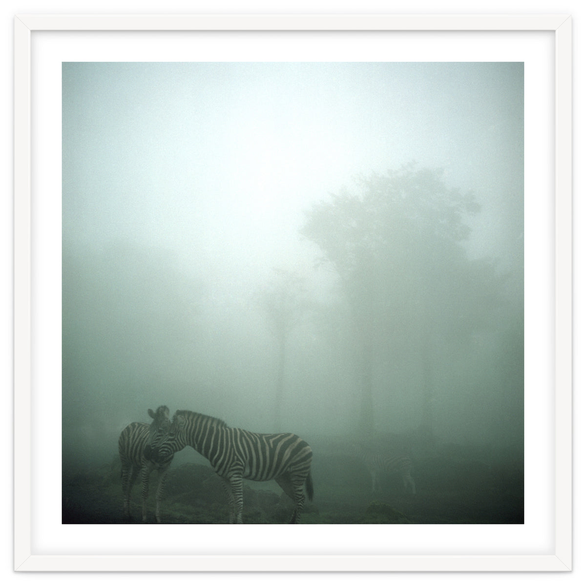 Silence of breath - 15