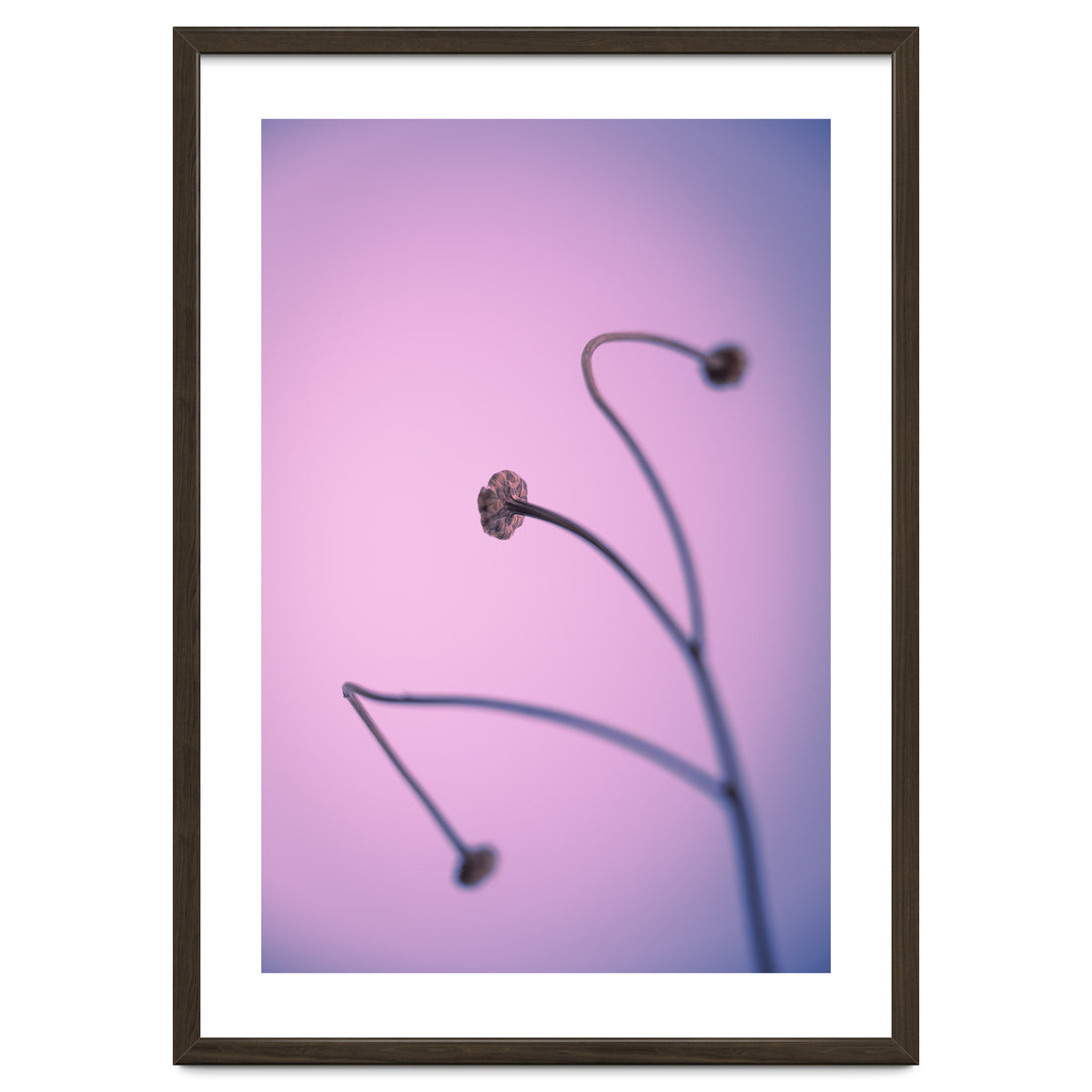 In light of current events VI