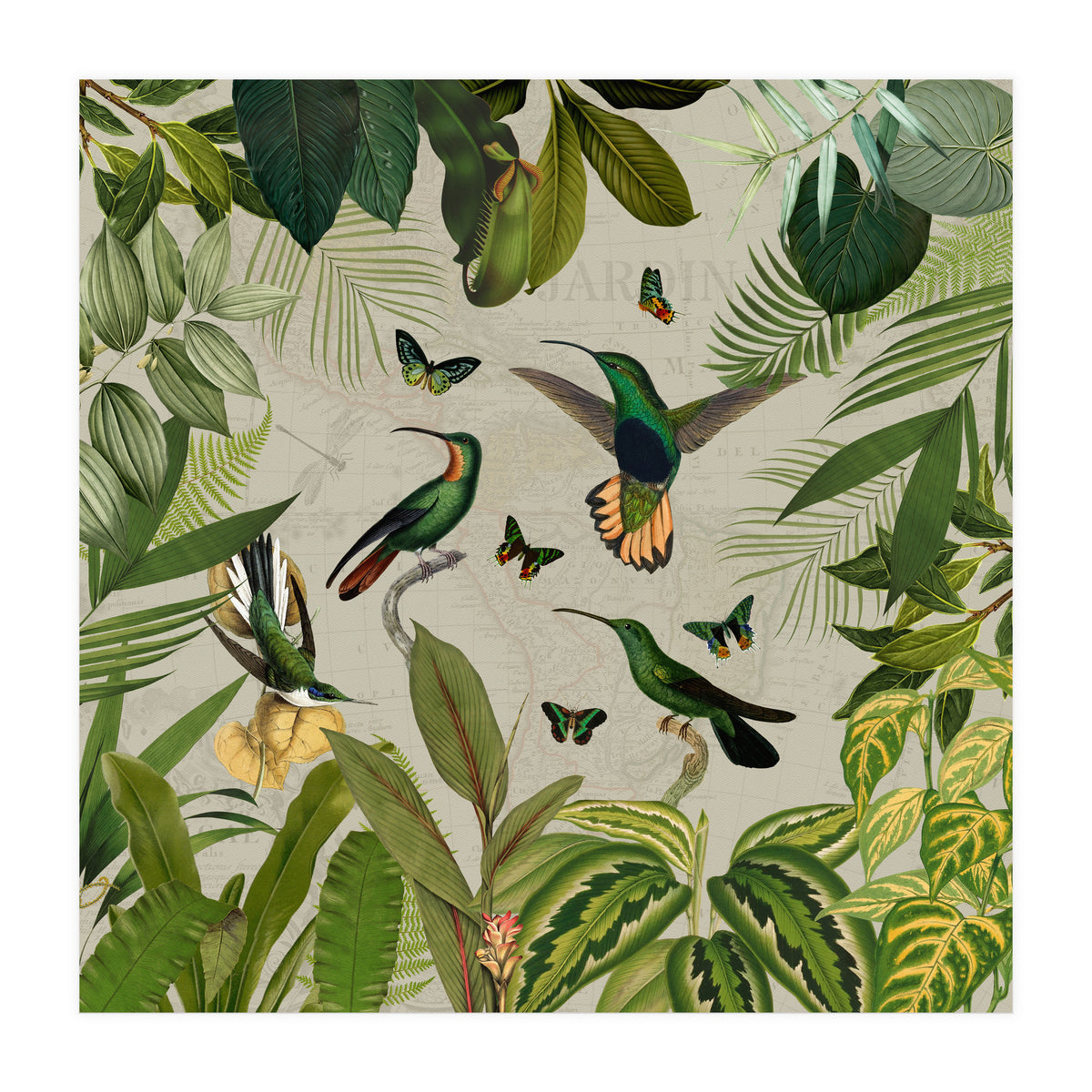 Vintage Exotic Hummingbirds Jungle (Print Only)