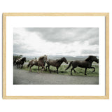 Running horses - Iceland thumbnail