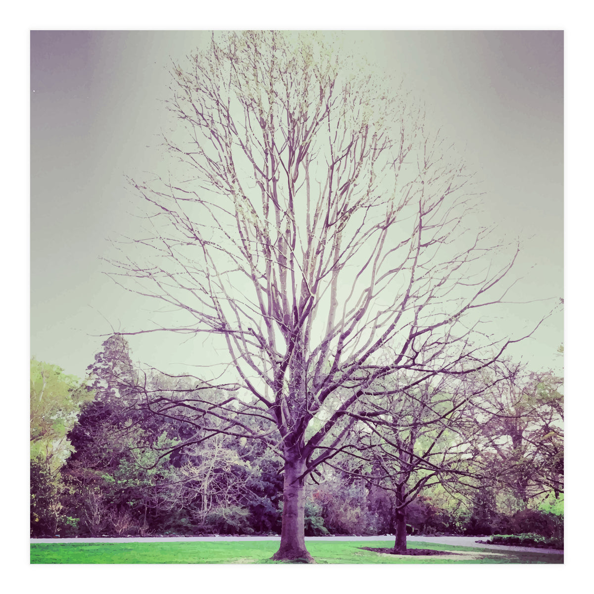 Tree Of Dreams (Print Only)