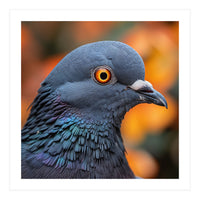 Close Up Of A Pigeon's Head And Neck (Print Only)