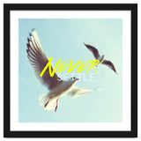 Never Settle thumbnail