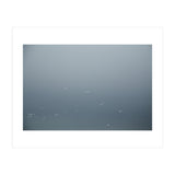 Flying Segulls in thet winter sky (Print Only) thumbnail