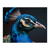 Close Up Peacock Head Blue Green Feather  (Print Only) thumbnail