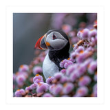 Atlantic Puffin Amidst Pink Heather Flowers (Print Only) thumbnail