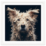 Old Dog 06 thumbnail