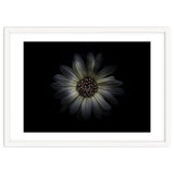 Backyard Flowers No 27 Color Version thumbnail